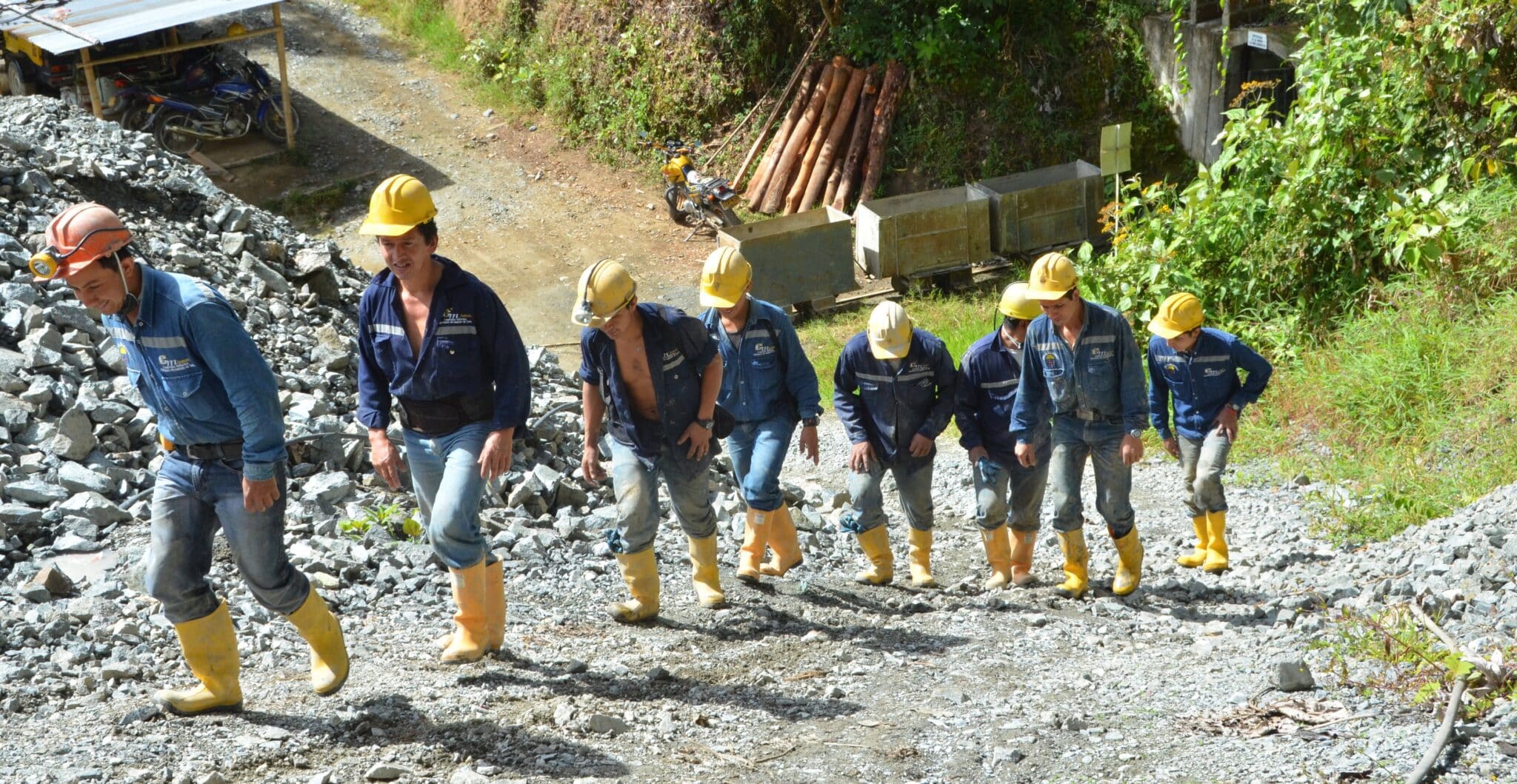 gold miners